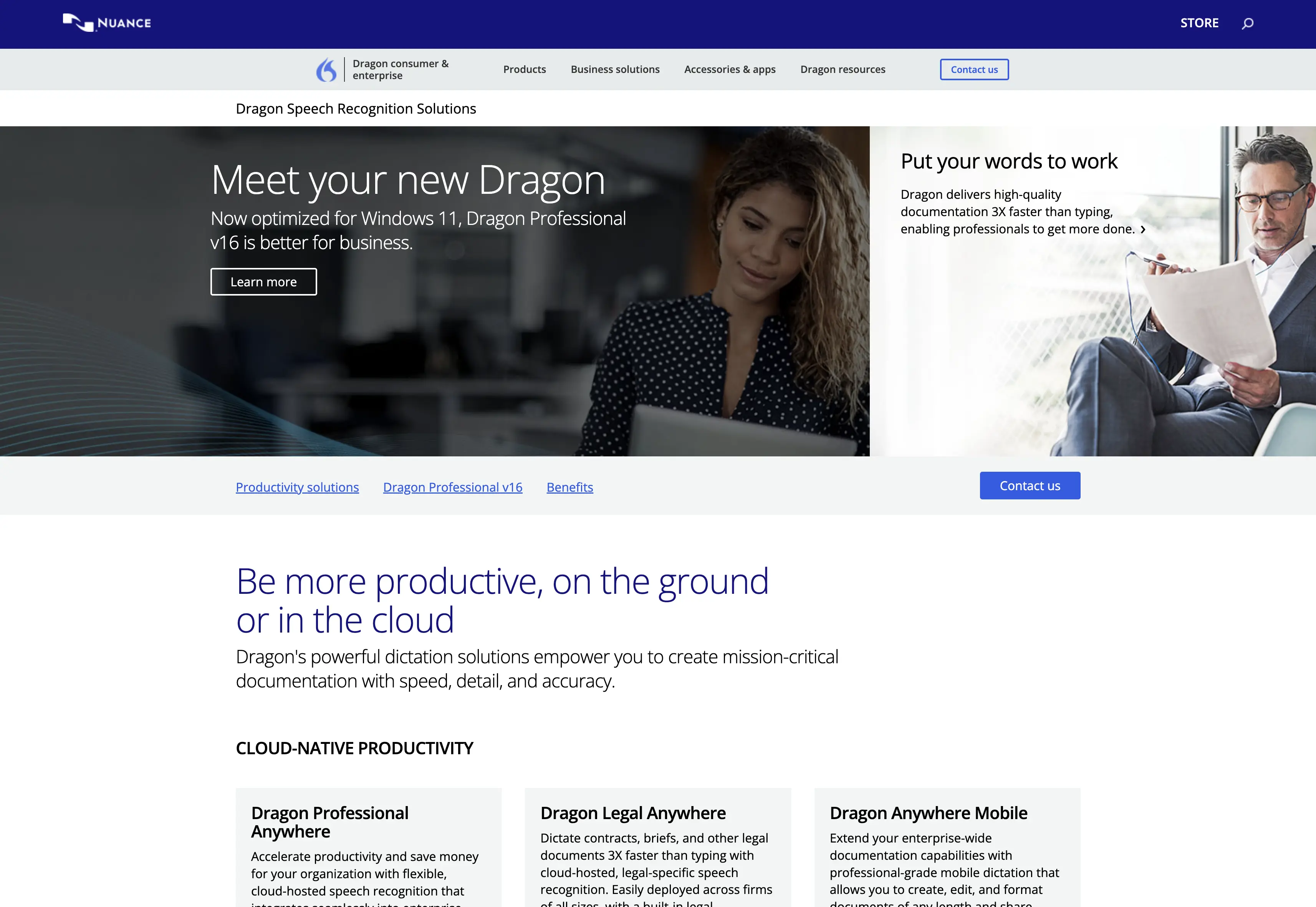 Dragon Professional Individual v16 screenshot